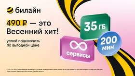 Как оплатить услуги Билайн через SMS