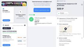 Как подтвердить штрафы ГИБДД в Орифлейм