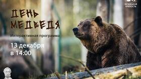 Как получить стикеры в приложении Медведь в Орифлейм