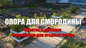 Как сделать опоры для кустов своими руками в Орифлейм