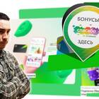 Сроки начисления баллов «Спасибо» от СберБанка
